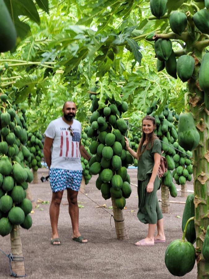 Dhonkamana Stay Thoddoo Eksteriør bilde